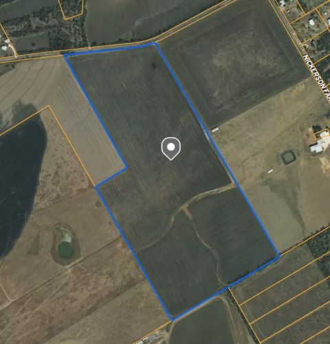 Untitled design (97)